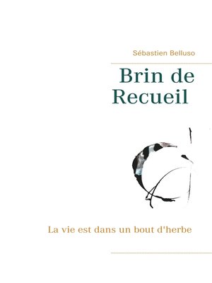 cover image of Brin de Recueil